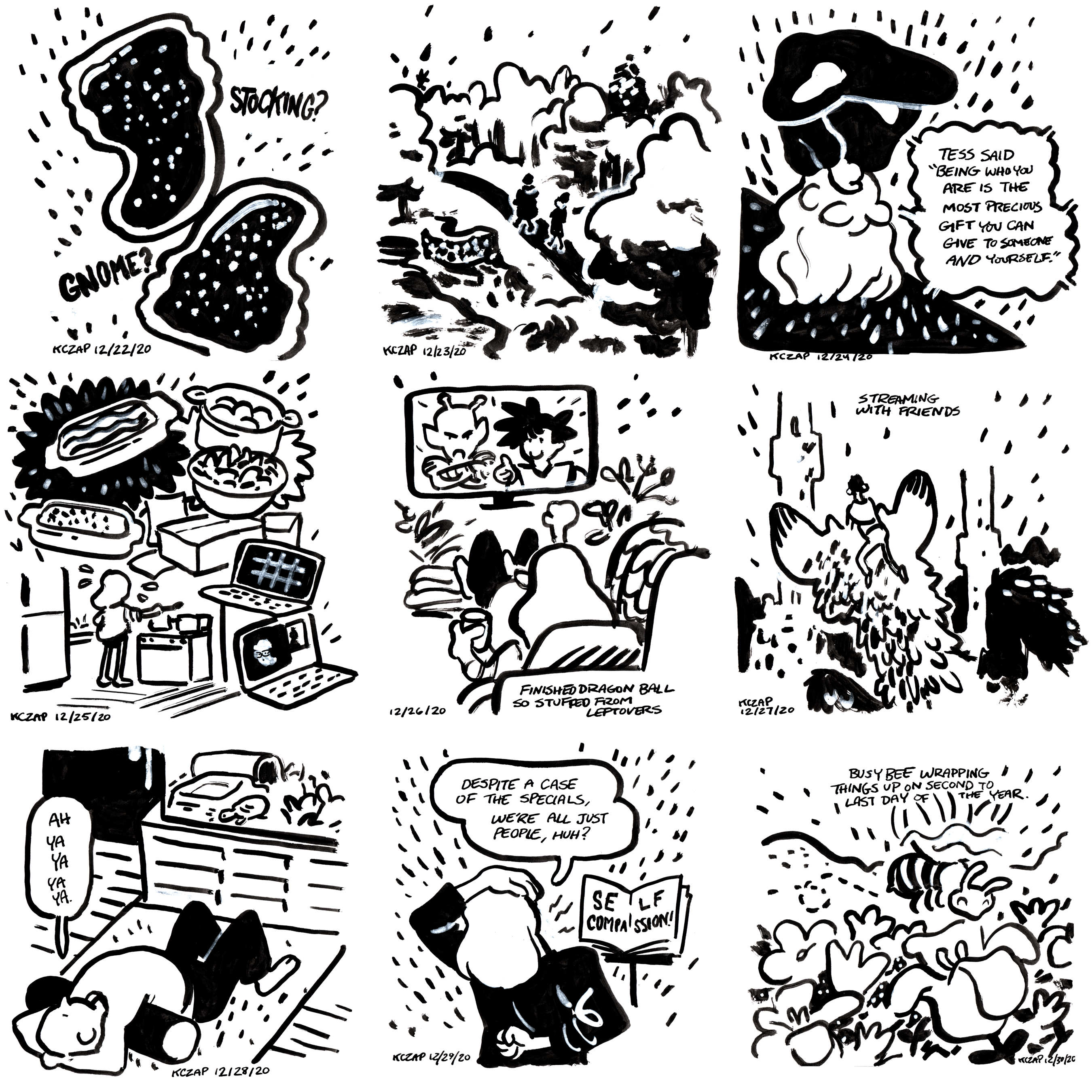 Diary Comics by K Czap